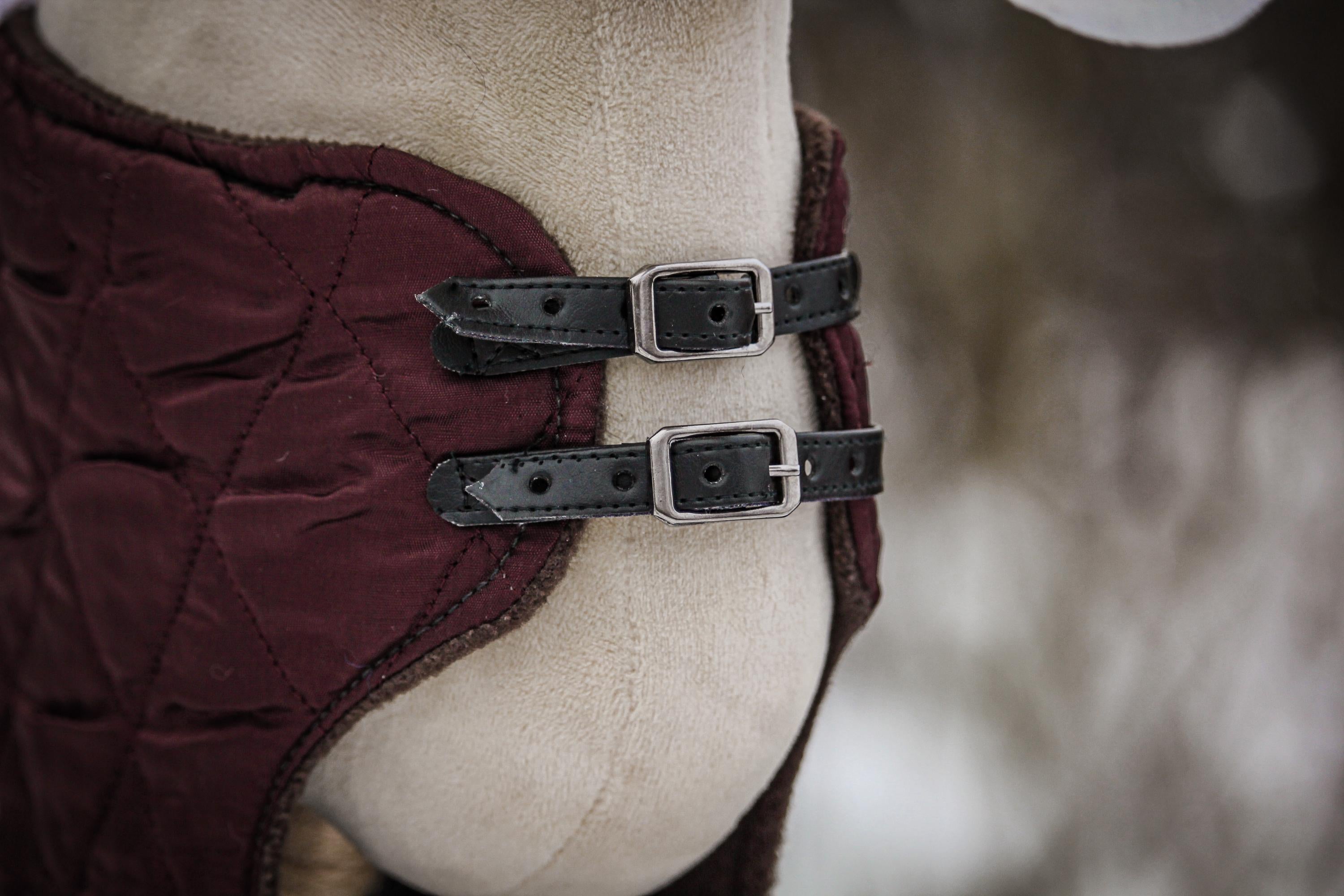 Winter Blanket for Hobby Horse | Alpine